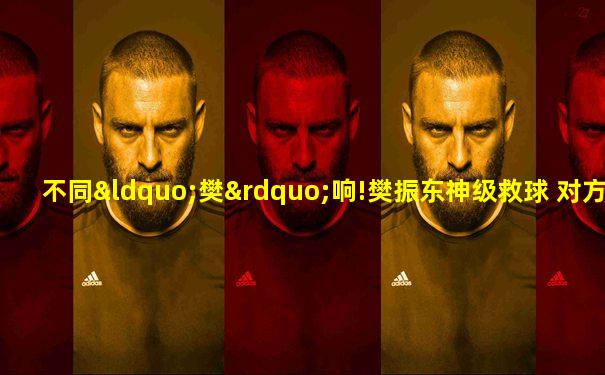 不同“樊”响!樊振东神级救球 对方直接愣住鼓掌